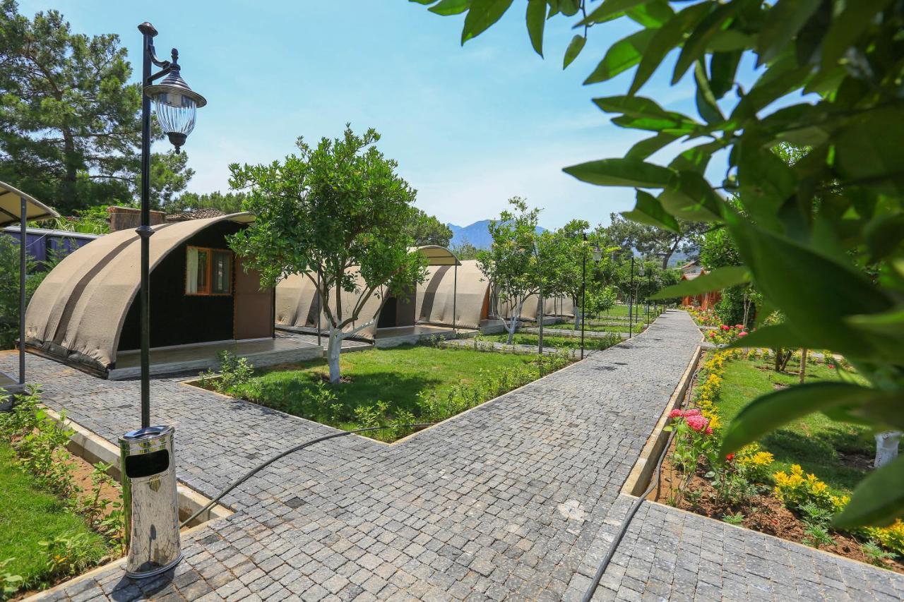 Merry Bungalow & Tent Çıralı Extérieur photo